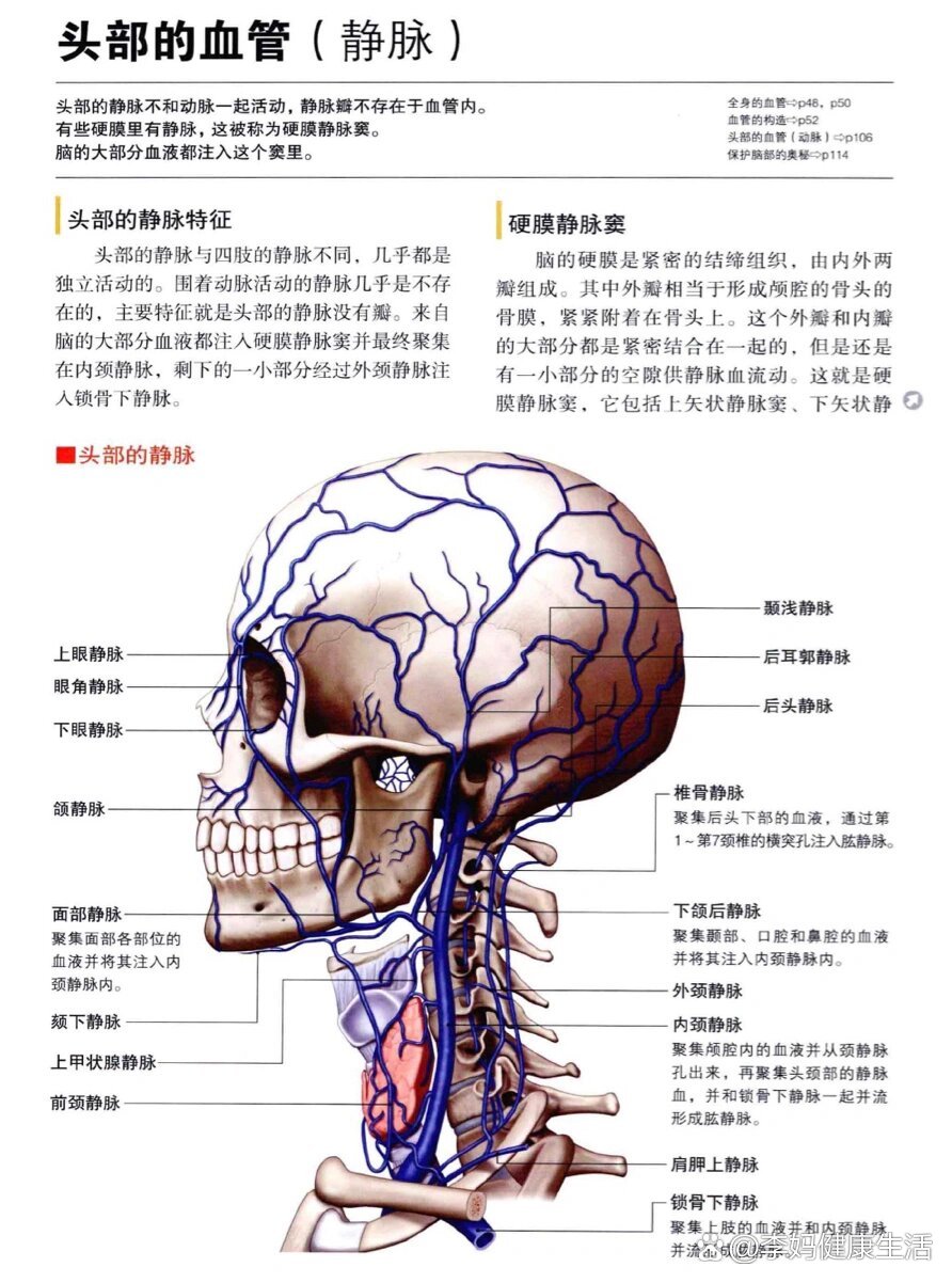 解剖学