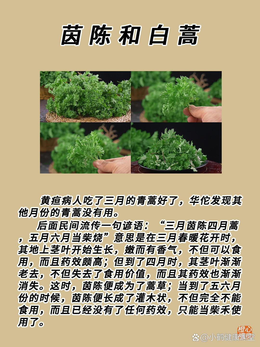 第二十六期61每天认识一味中药材