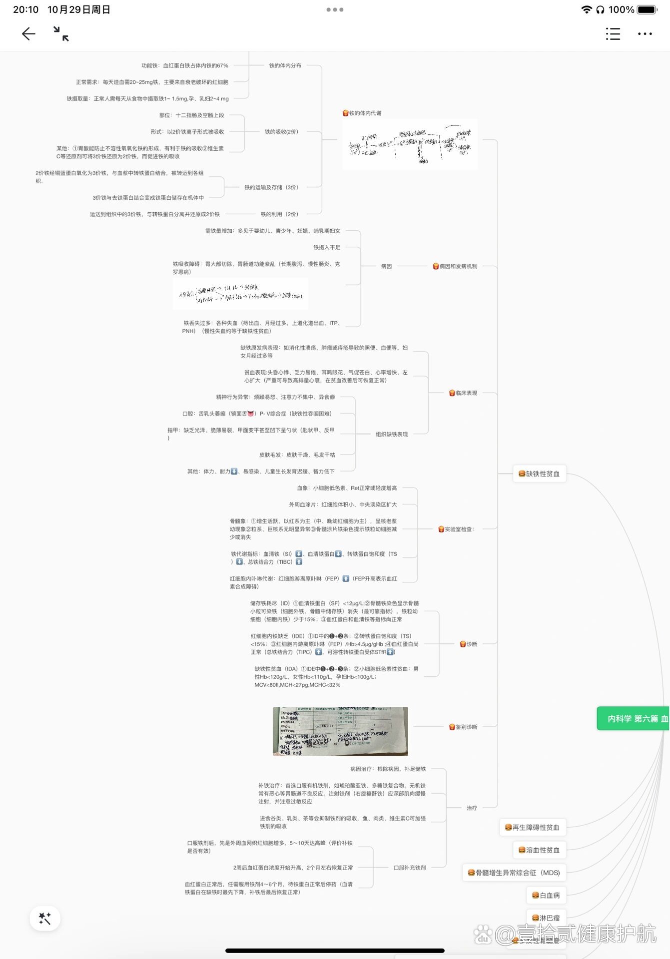 贫血性疾病思维导图图片