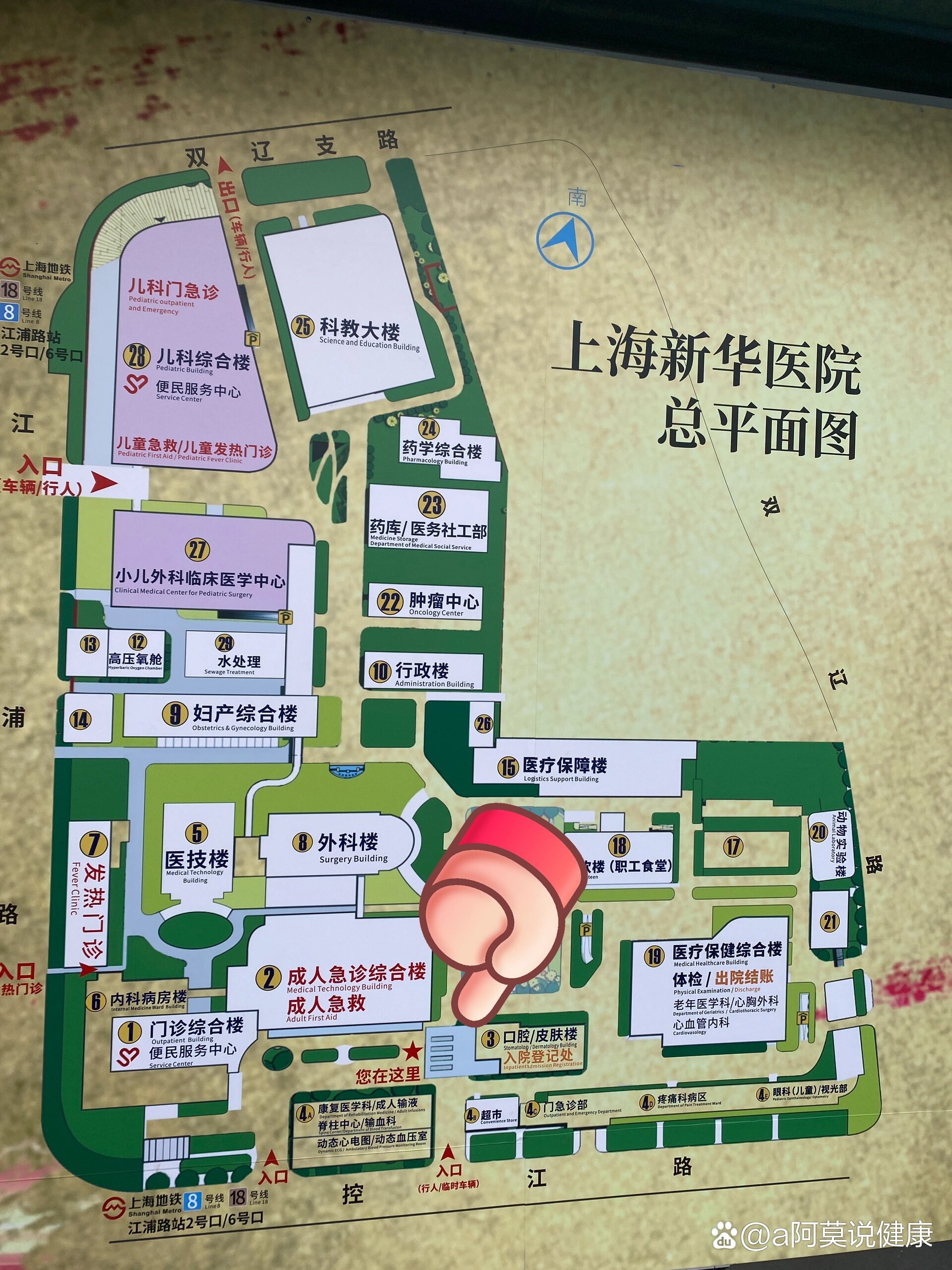 上海新华医院湿疹膏