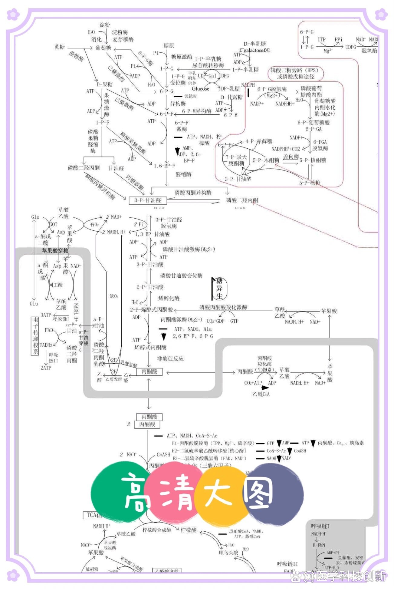 97生物化学三大代谢一张图全搞懂!