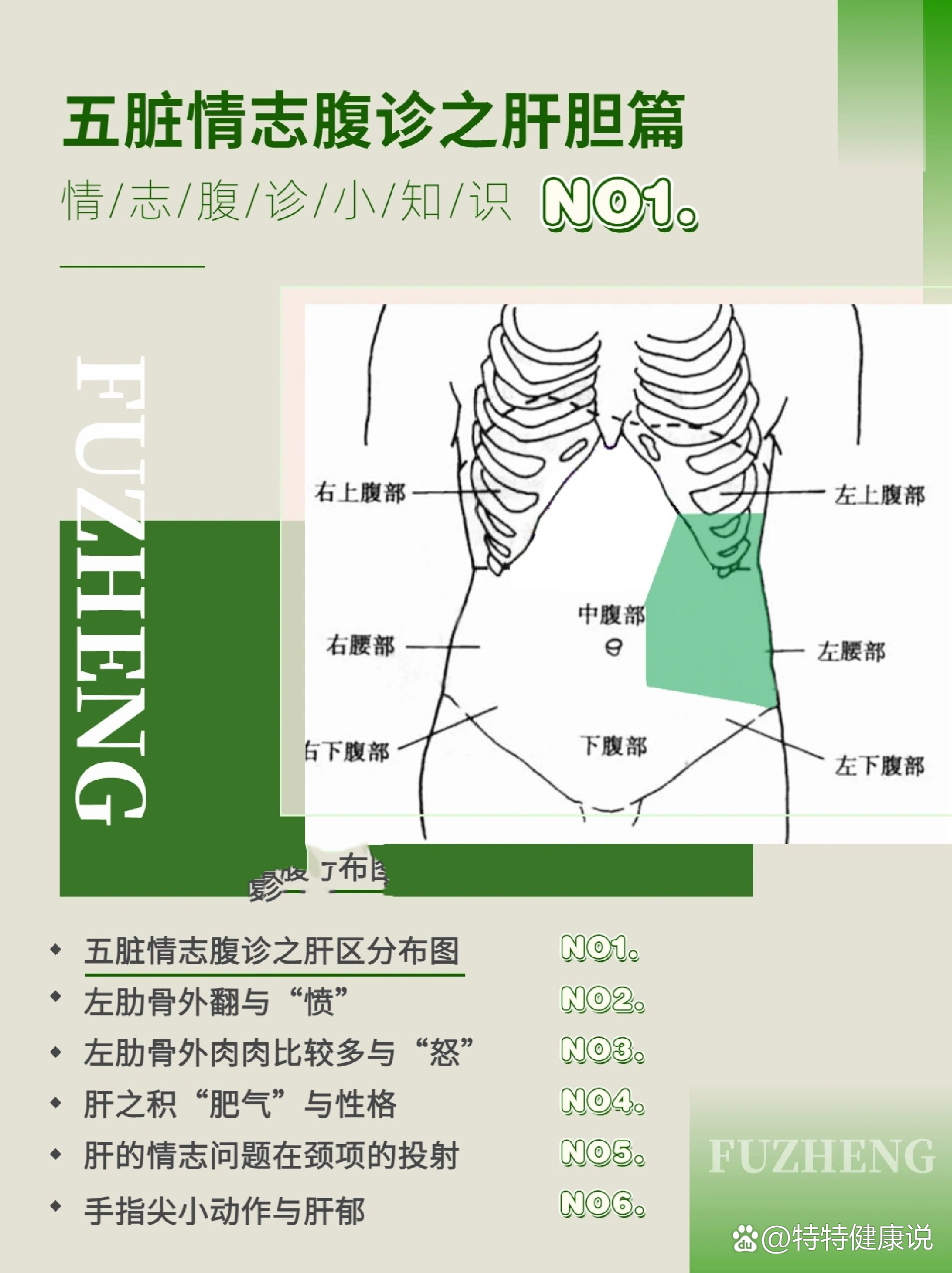 肝区隐痛 肝胆图片