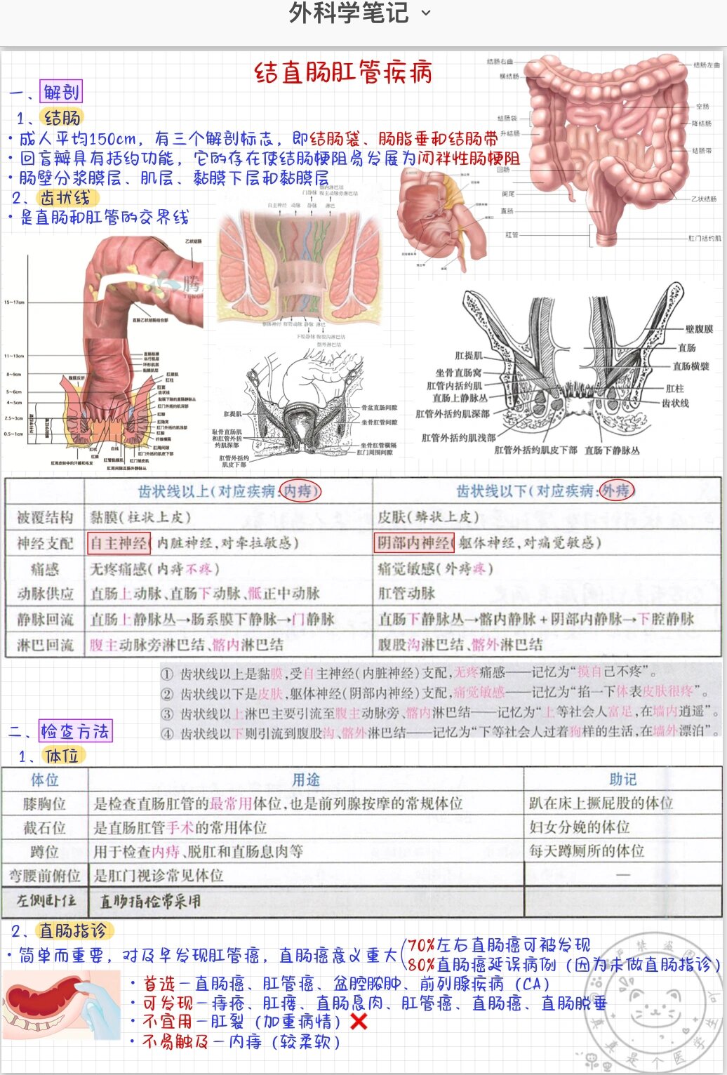 肛管减压图片