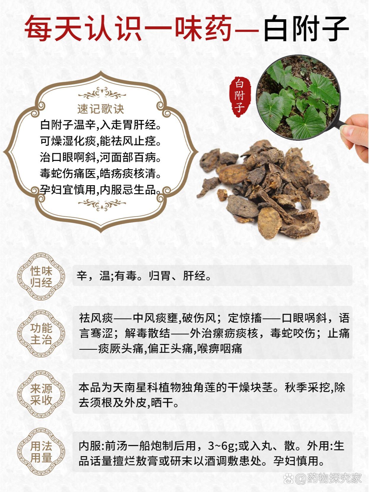 附子与白附子区别图片