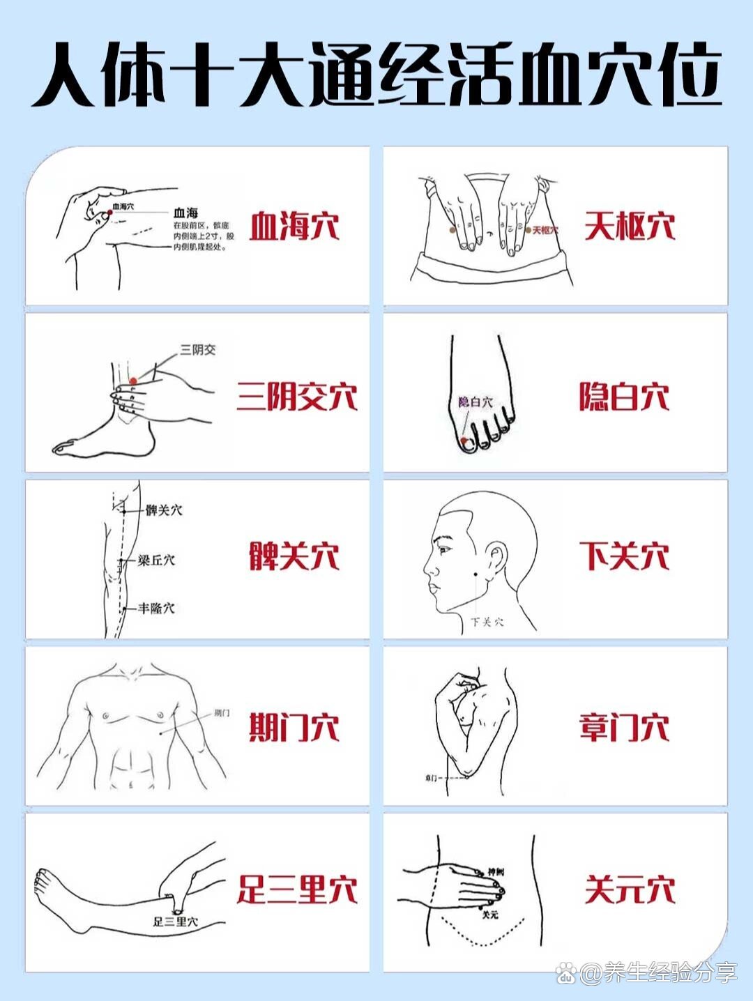 人体十大通经活血养生穴位75通经络活血