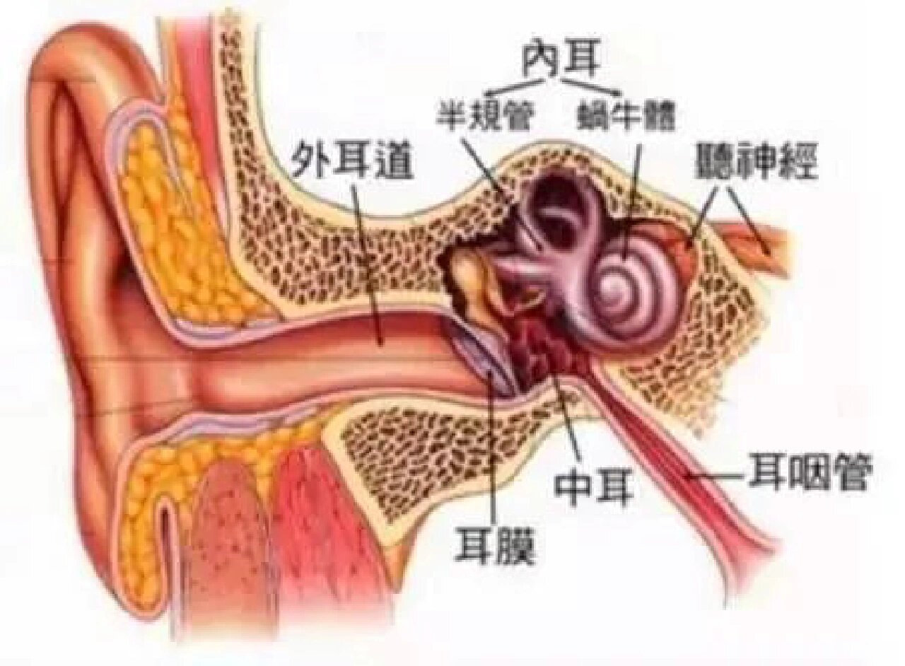 什么是中耳炎