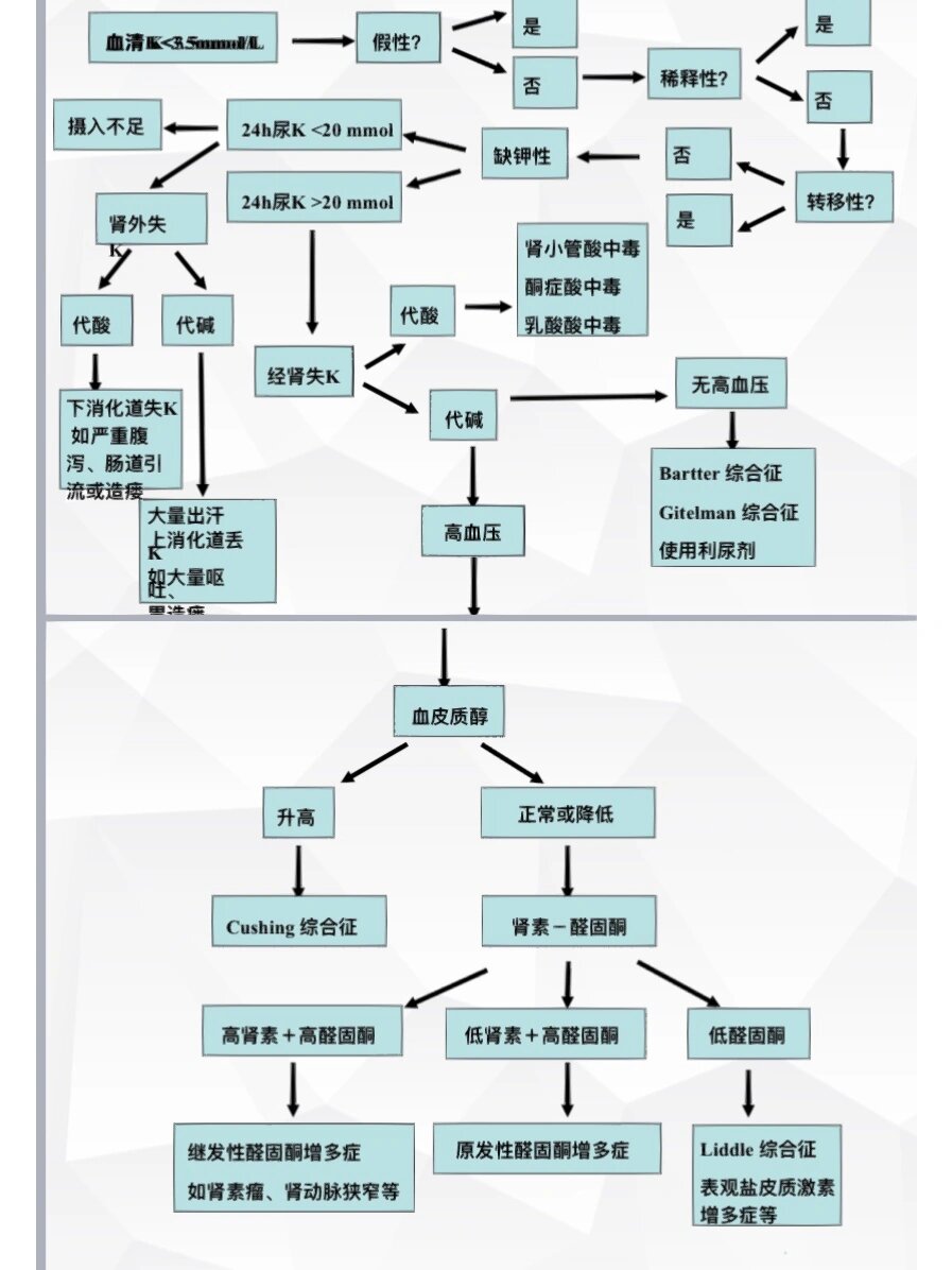 钾低是什么原因引起的图片