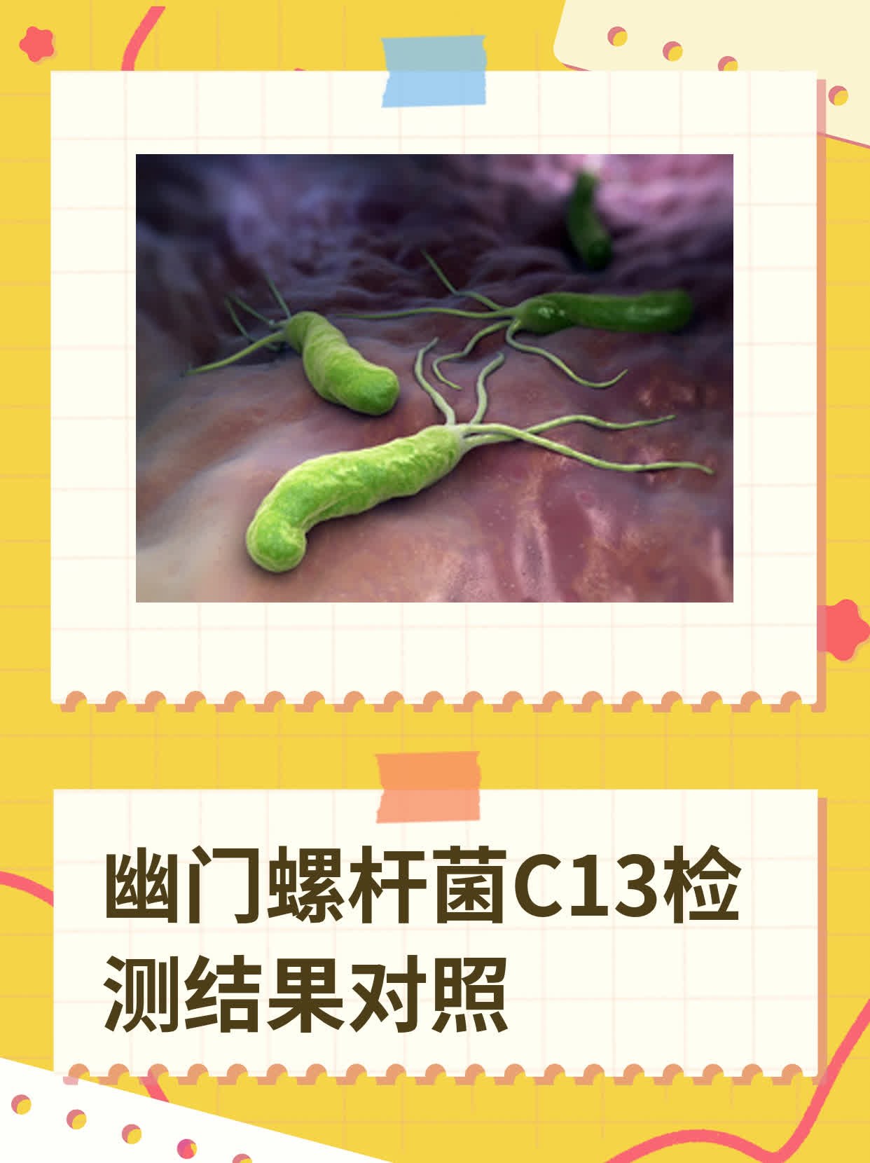 幽门螺杆菌c13检测结果对照