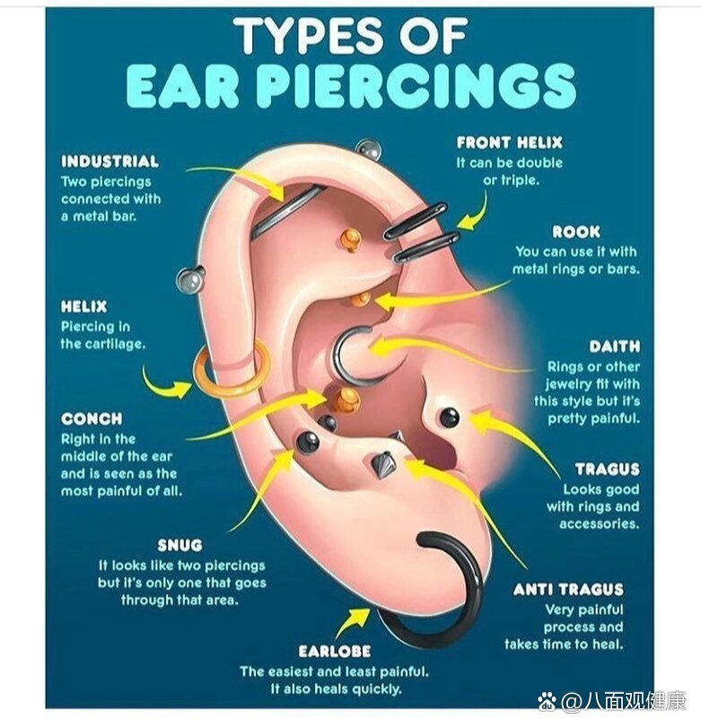 一张图看懂耳朵穿孔