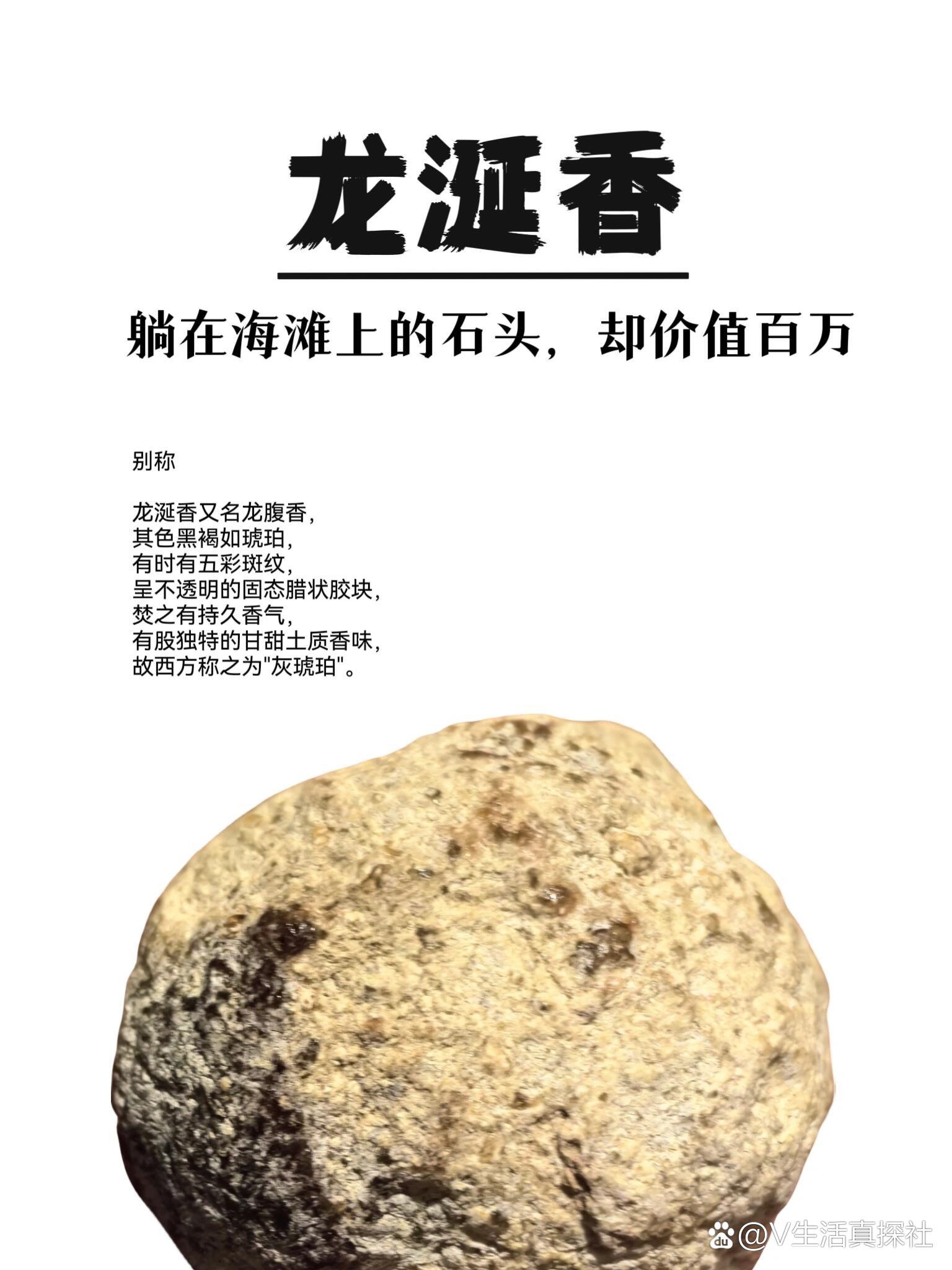  br>	  br>龙涎香是抹香鲸肠道中的一种分泌物.在遇到