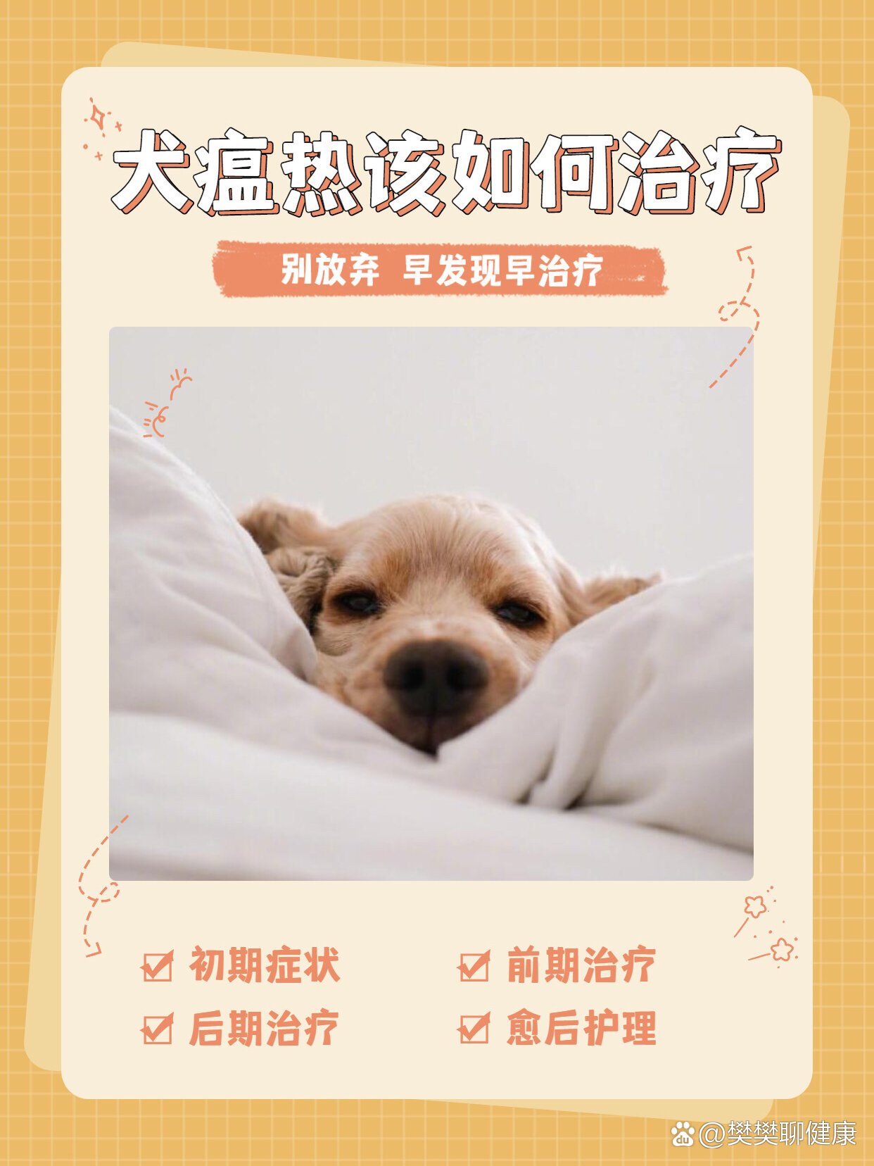 犬瘟热怎么治71