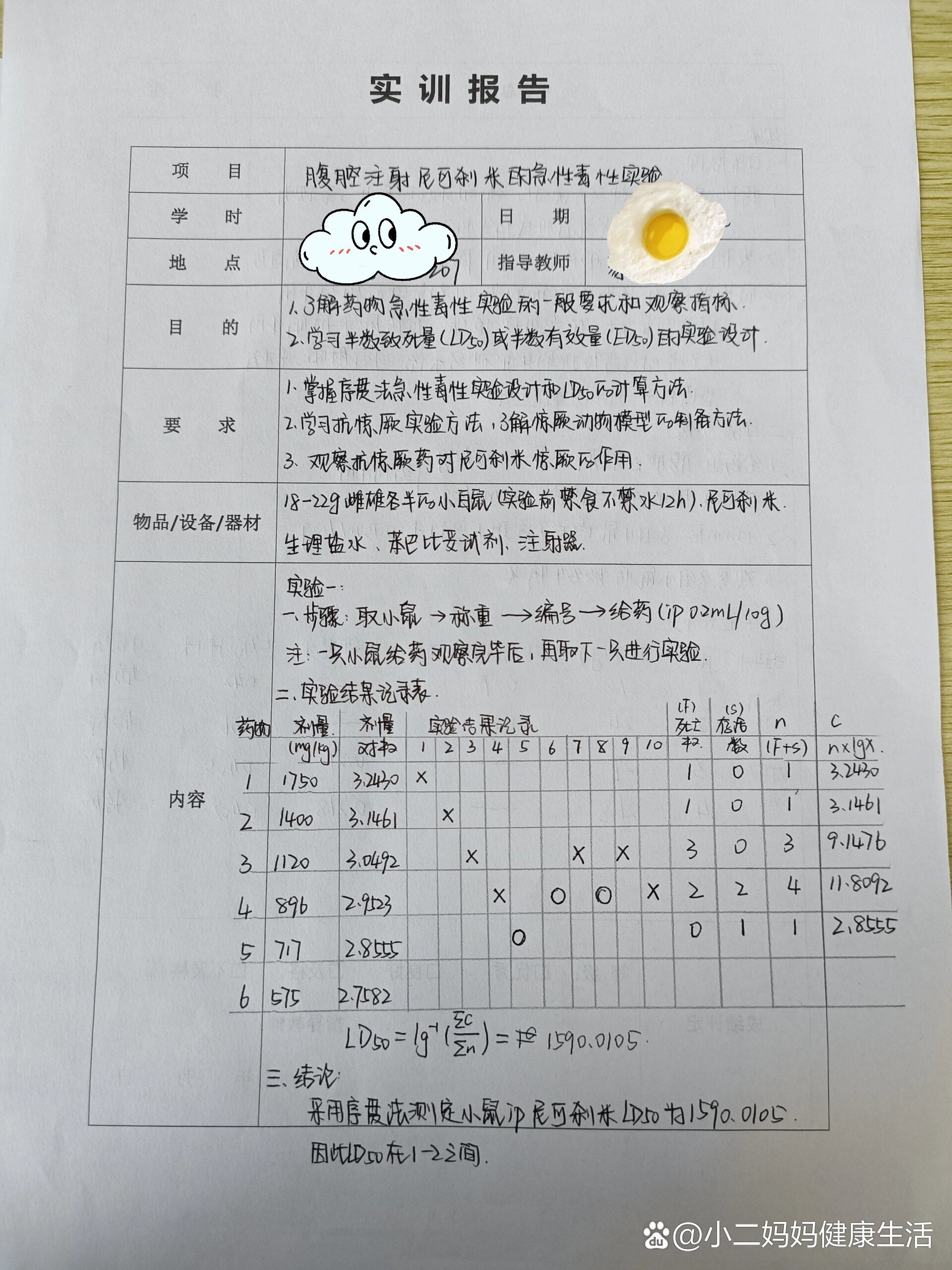 小鼠注射实验报告图片