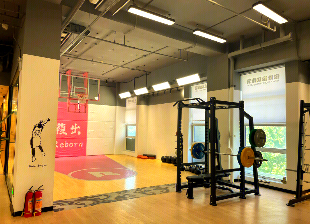 🏋️♂️膝关节康复训练：靠墙顶球动作指南