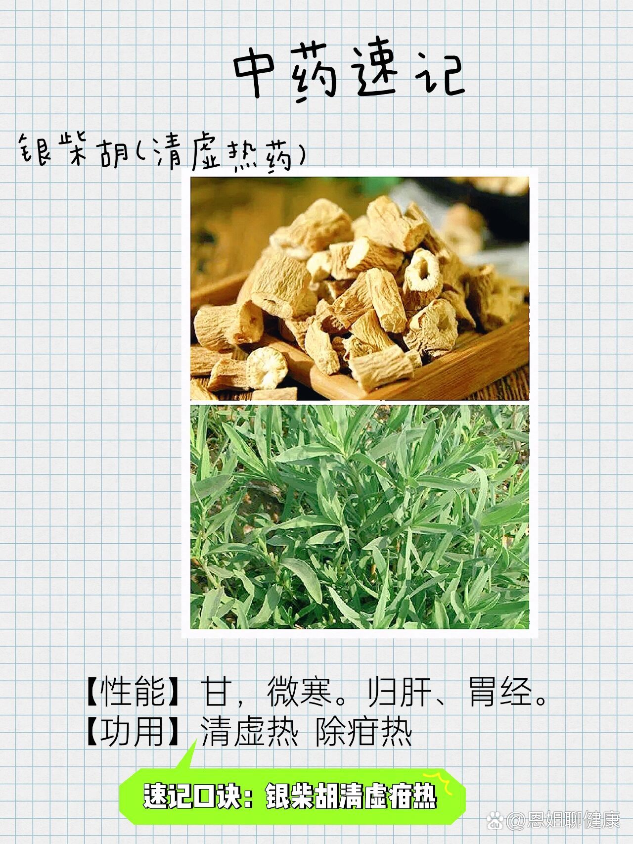 银柴胡的作用图片