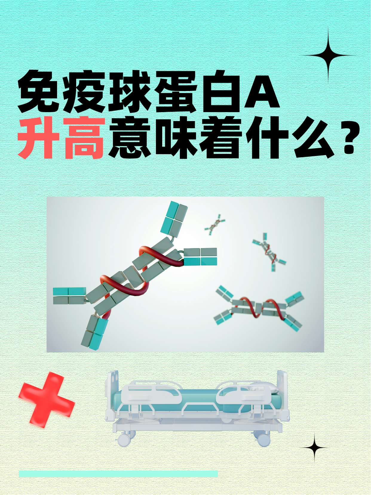 免疫球蛋白a升高意味着什么?