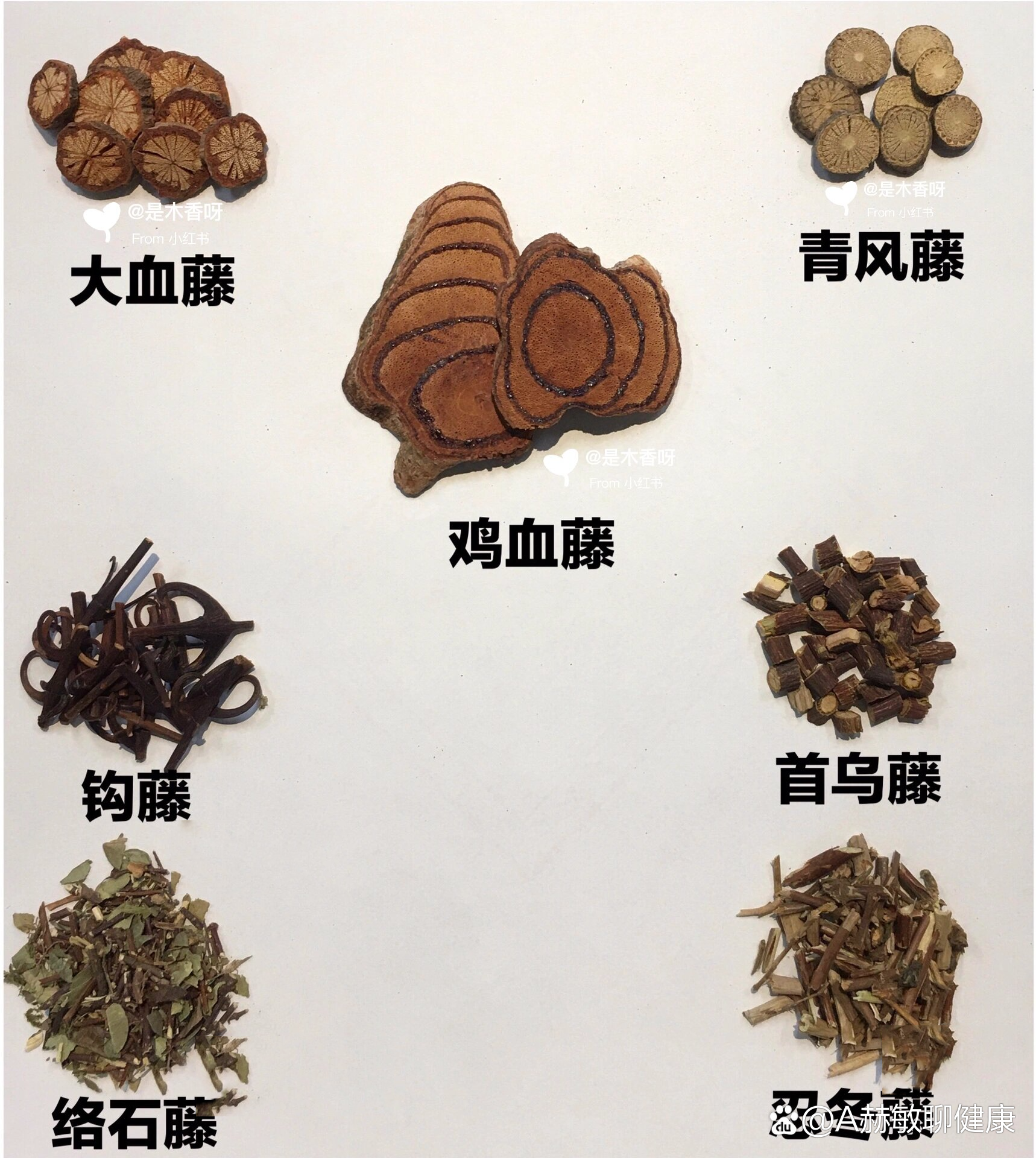 藤草药图片大全和名称图片