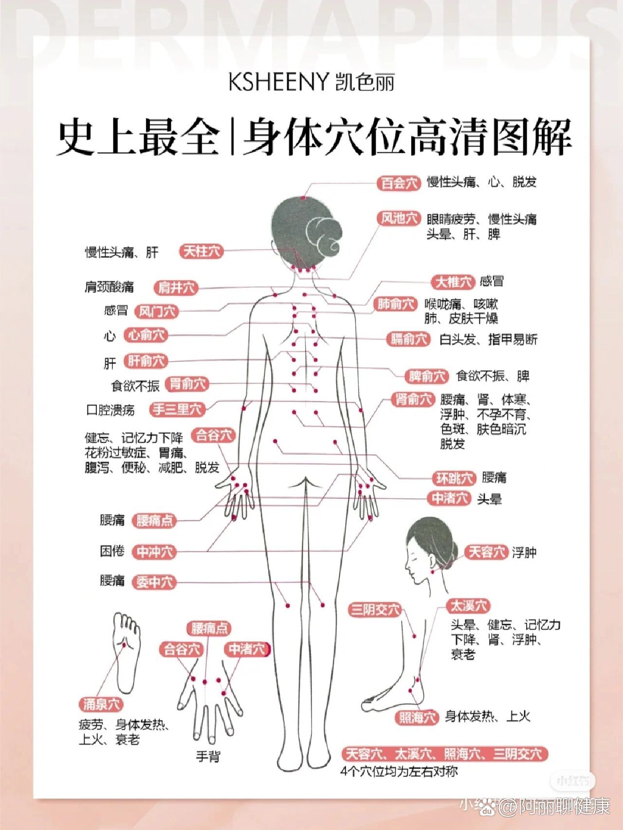 背部部位名称示意图图片