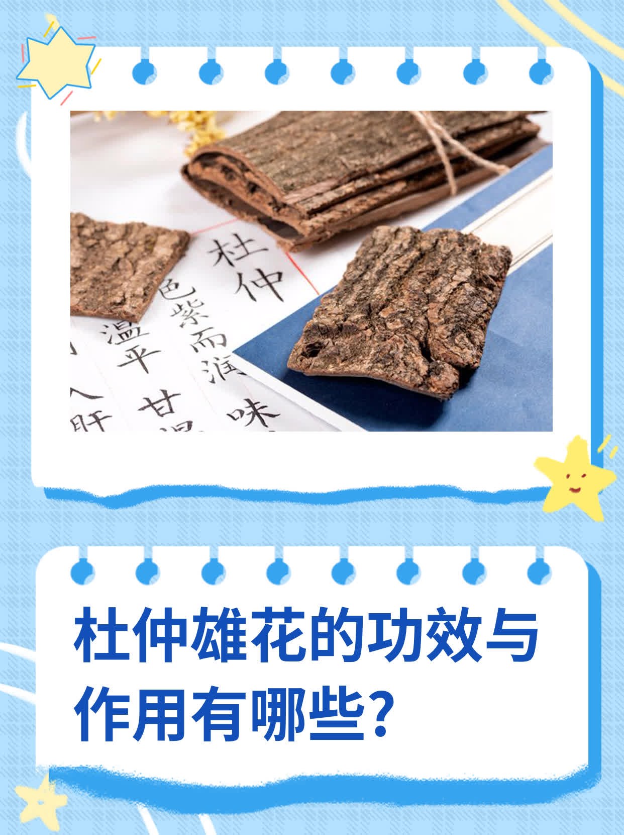 杜仲雄花的功效与作用有哪些