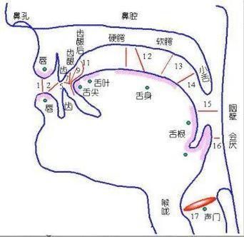 打坐时舌顶上腭的标准做法，你知道吗？