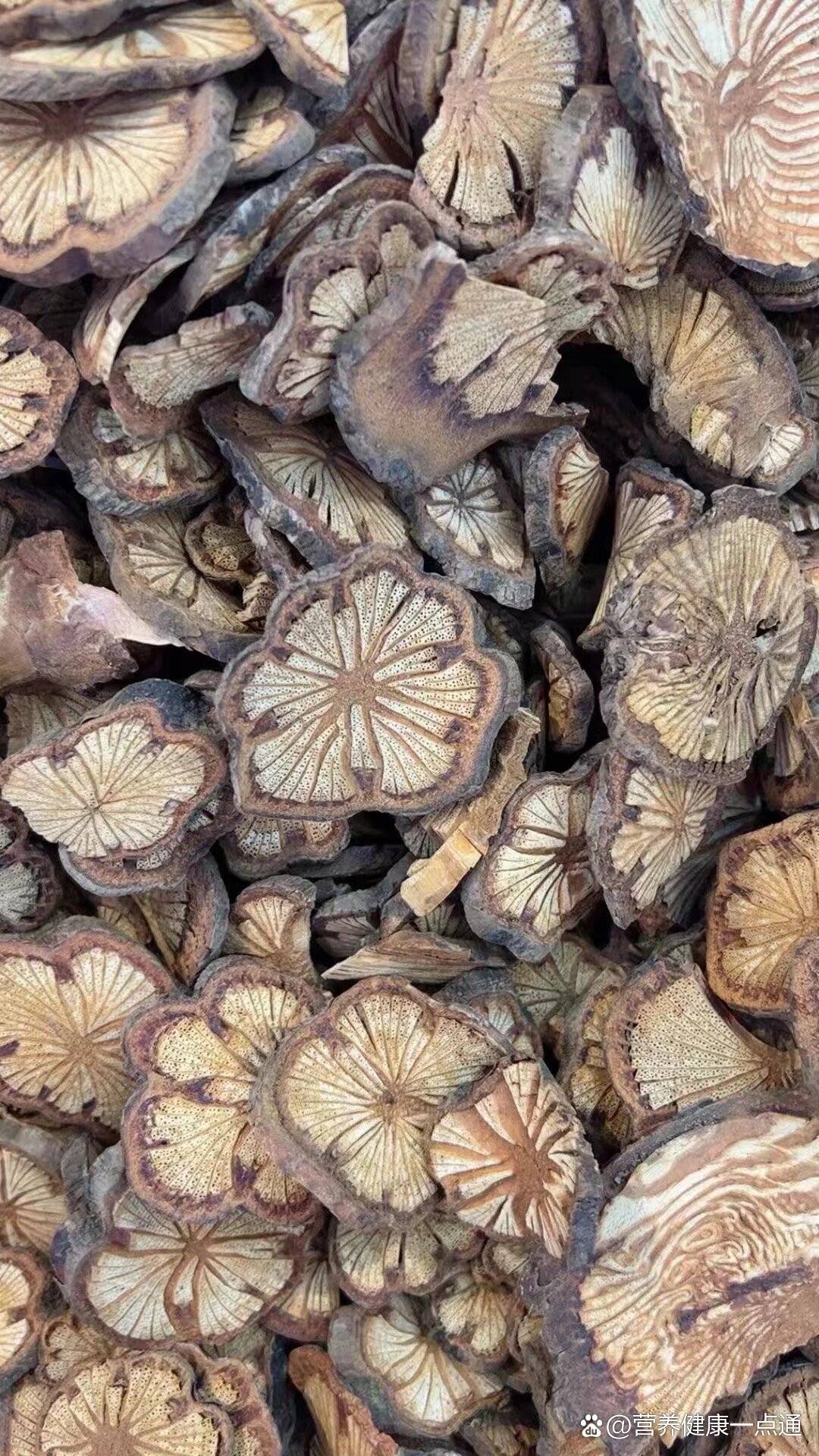 大血藤又名红藤,血通,血塞通