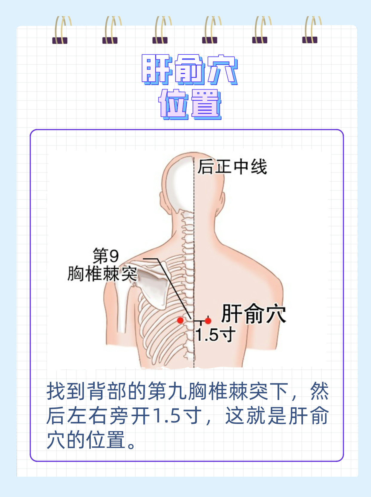 带你快速了解一个穴位—肝俞穴