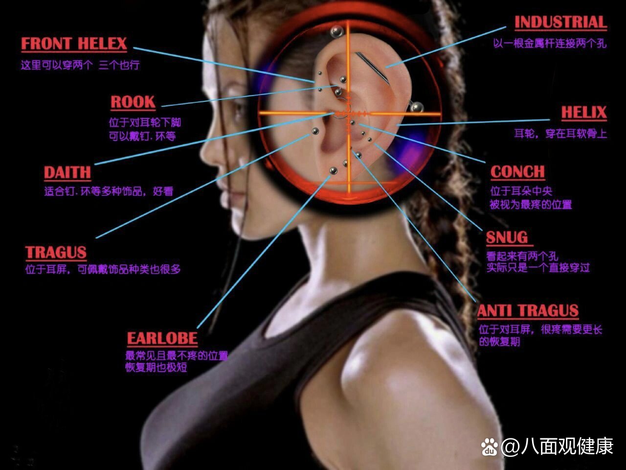 一张图看懂耳朵穿孔