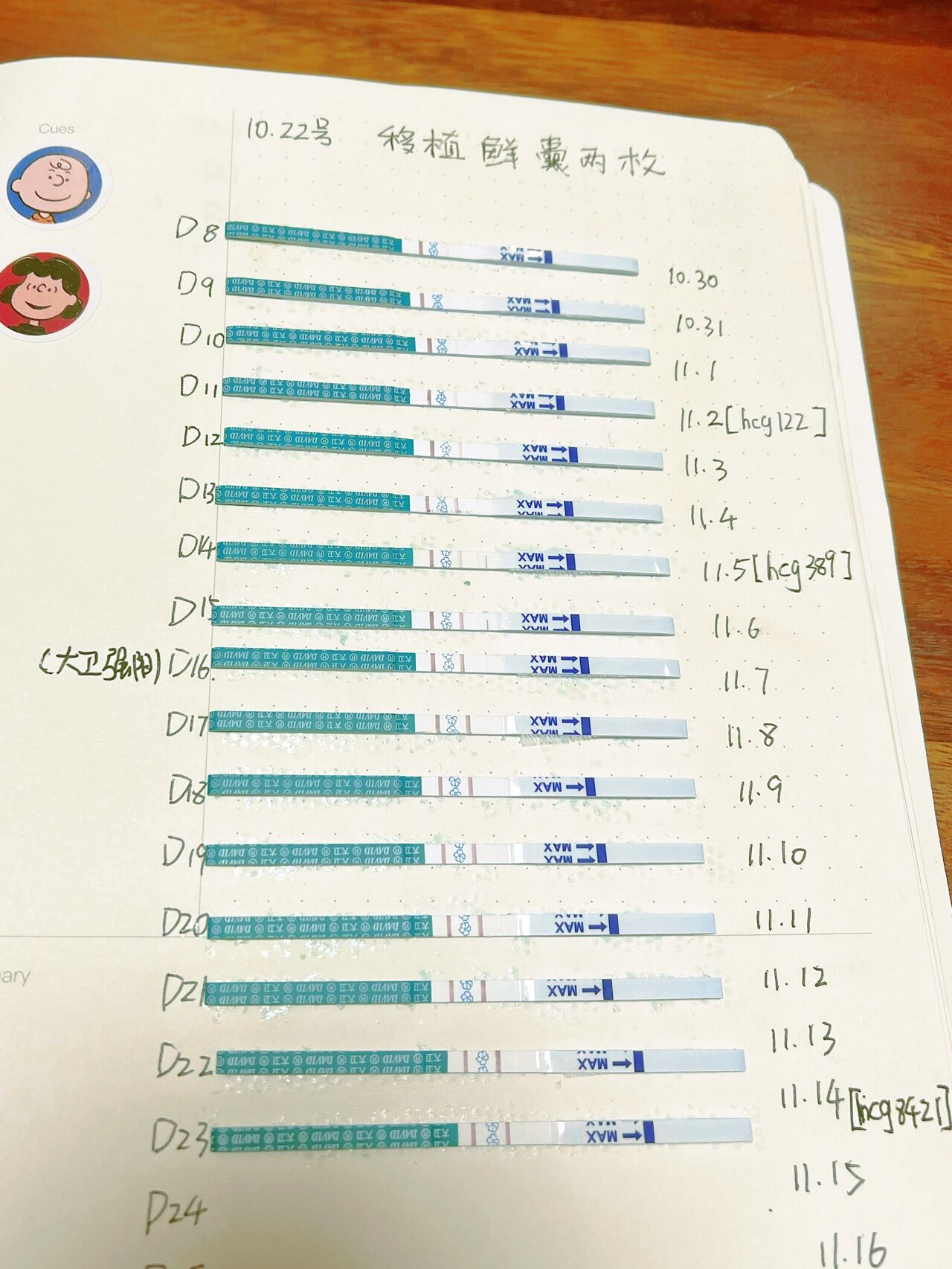 移植15天测出弱阳图片图片