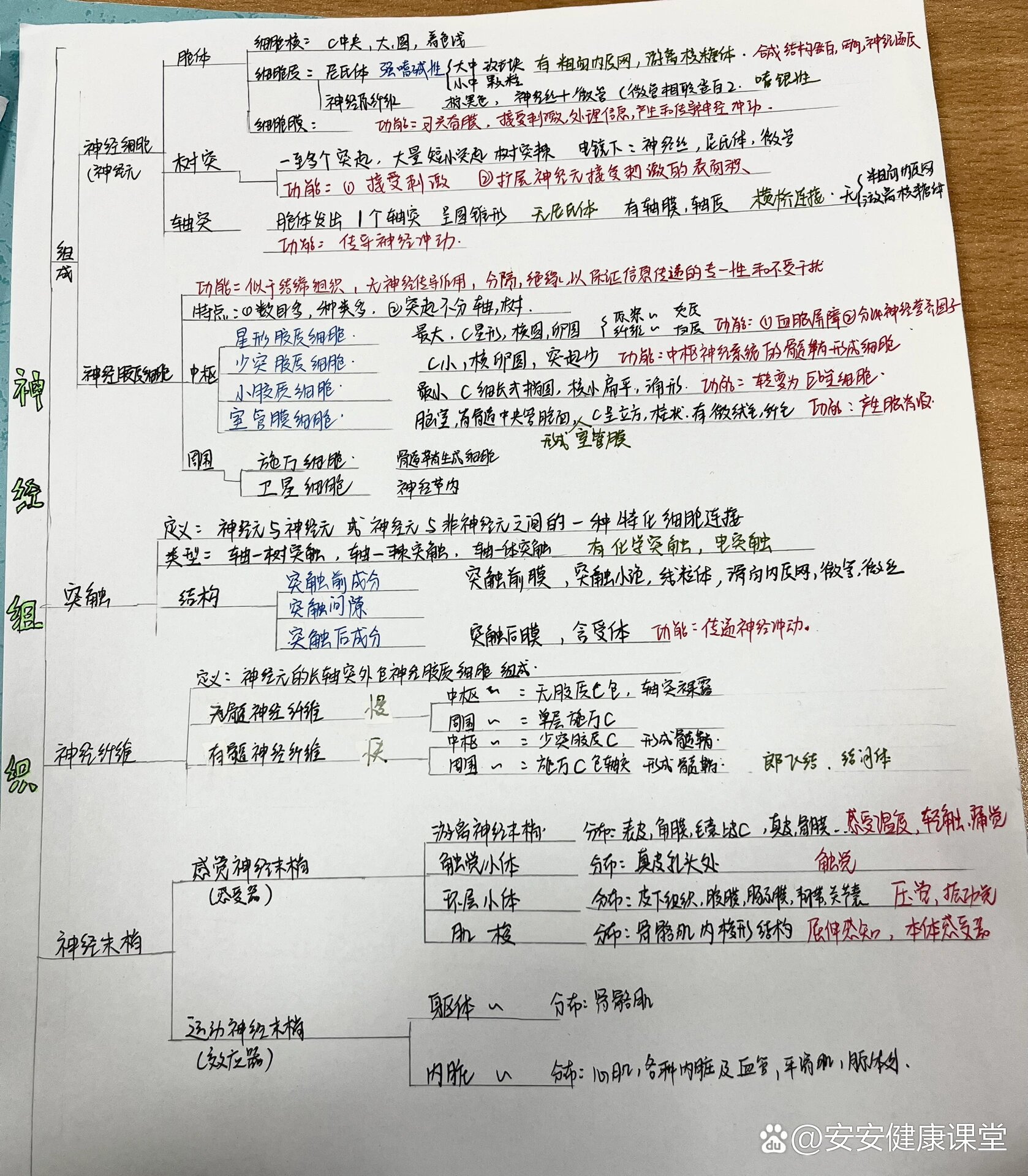 组织胚胎学思维导图