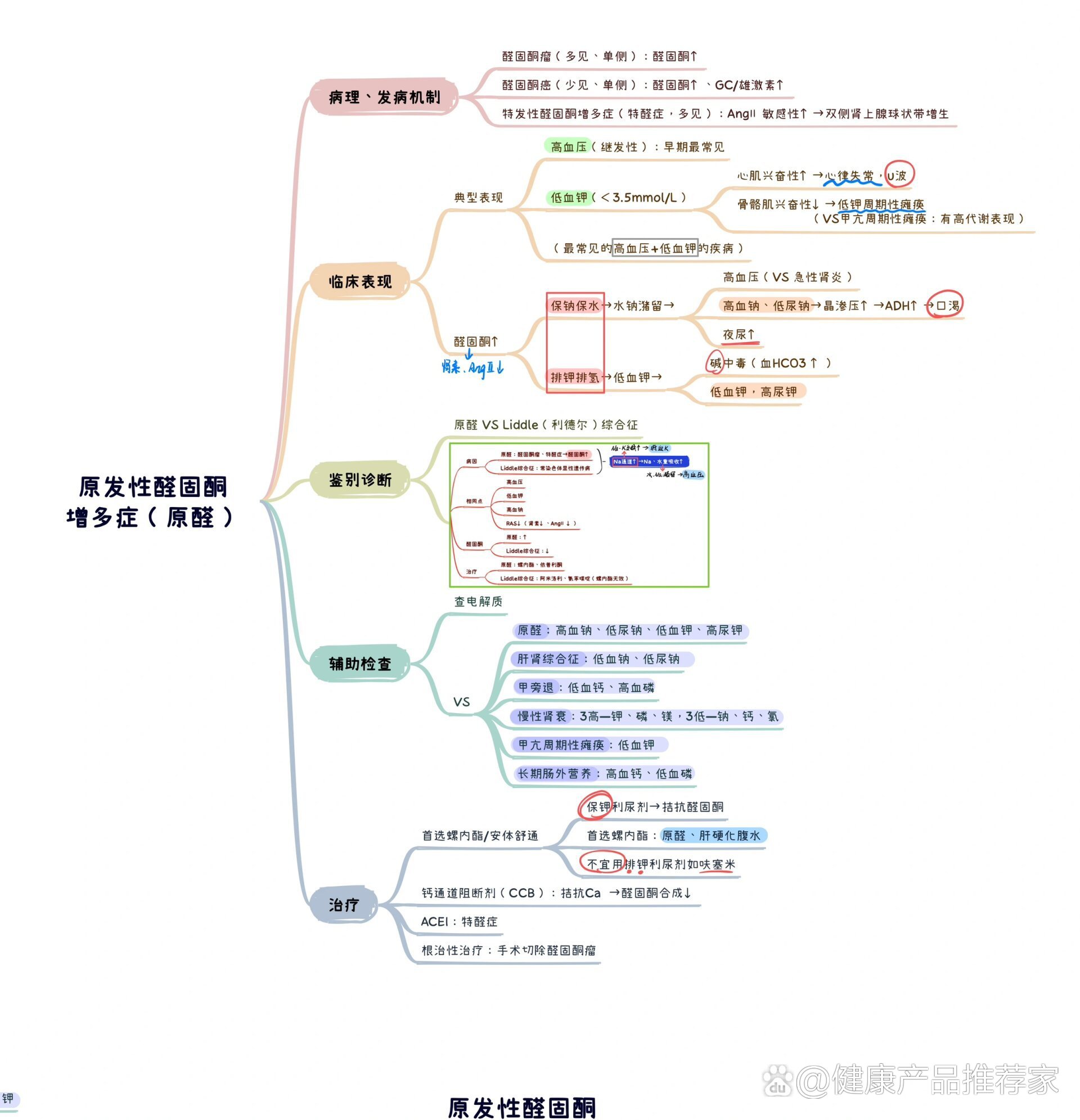 内科—内分泌—原醛