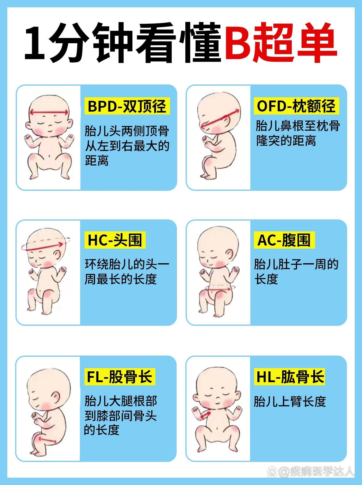 教你看懂孕检b超单‼️大排畸重点指标解读⚠️