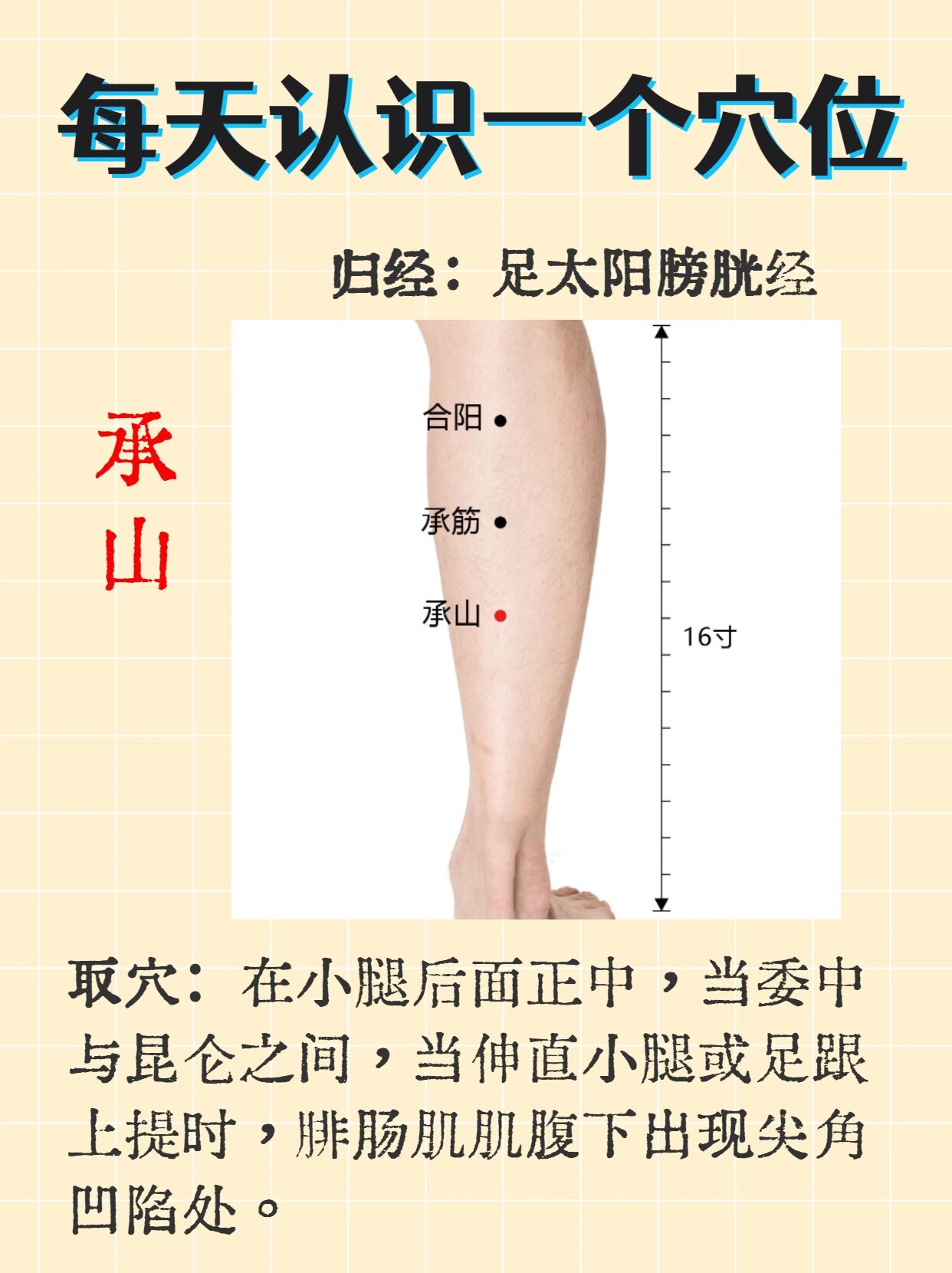 承山的准确位置图片