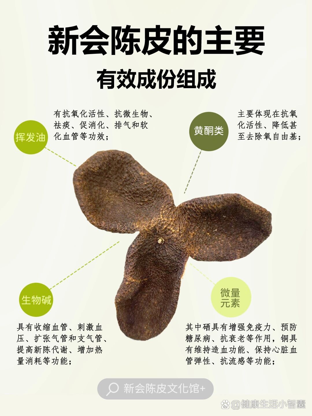 陈皮图片及功效与作用图片