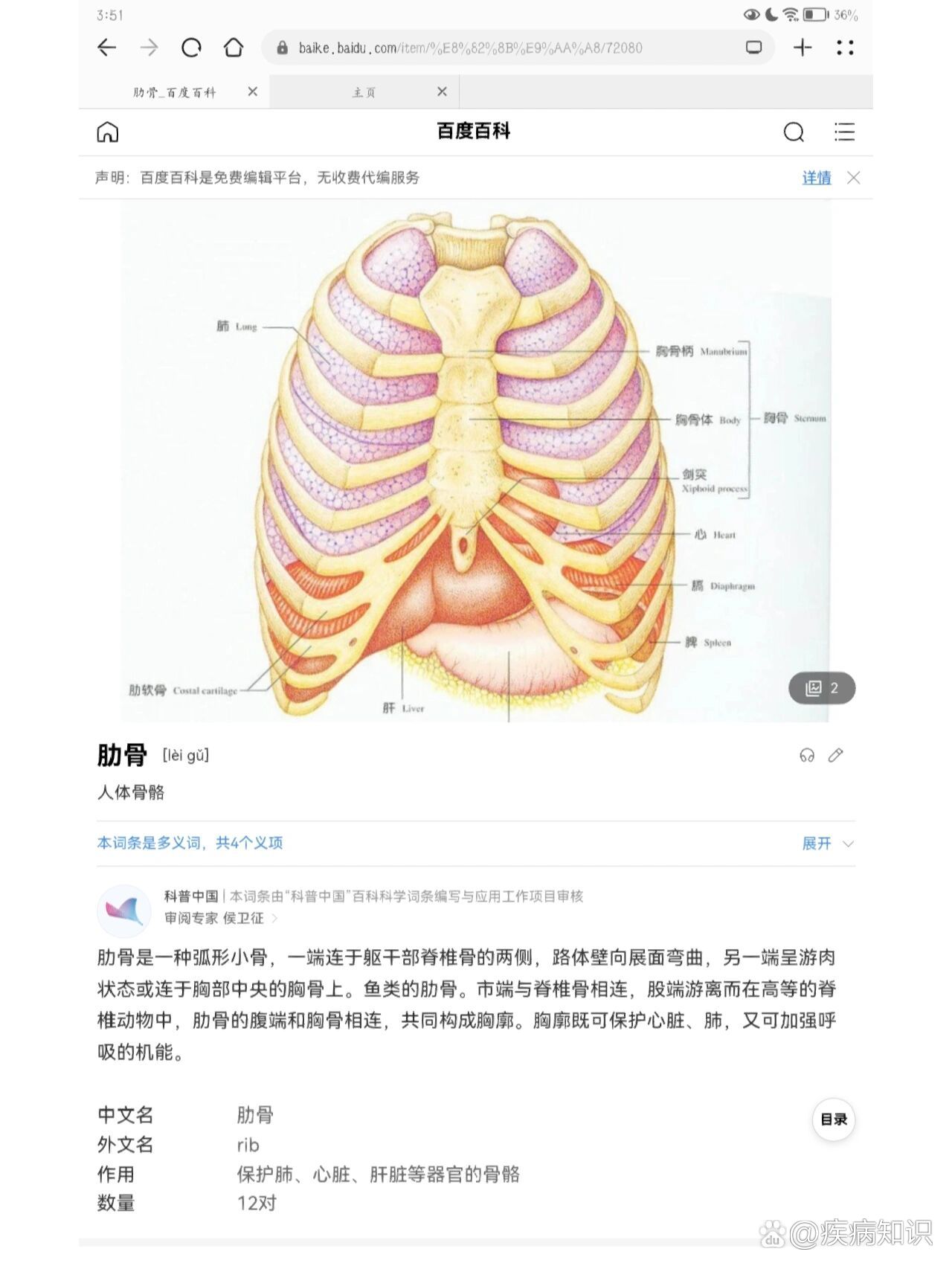 家人们