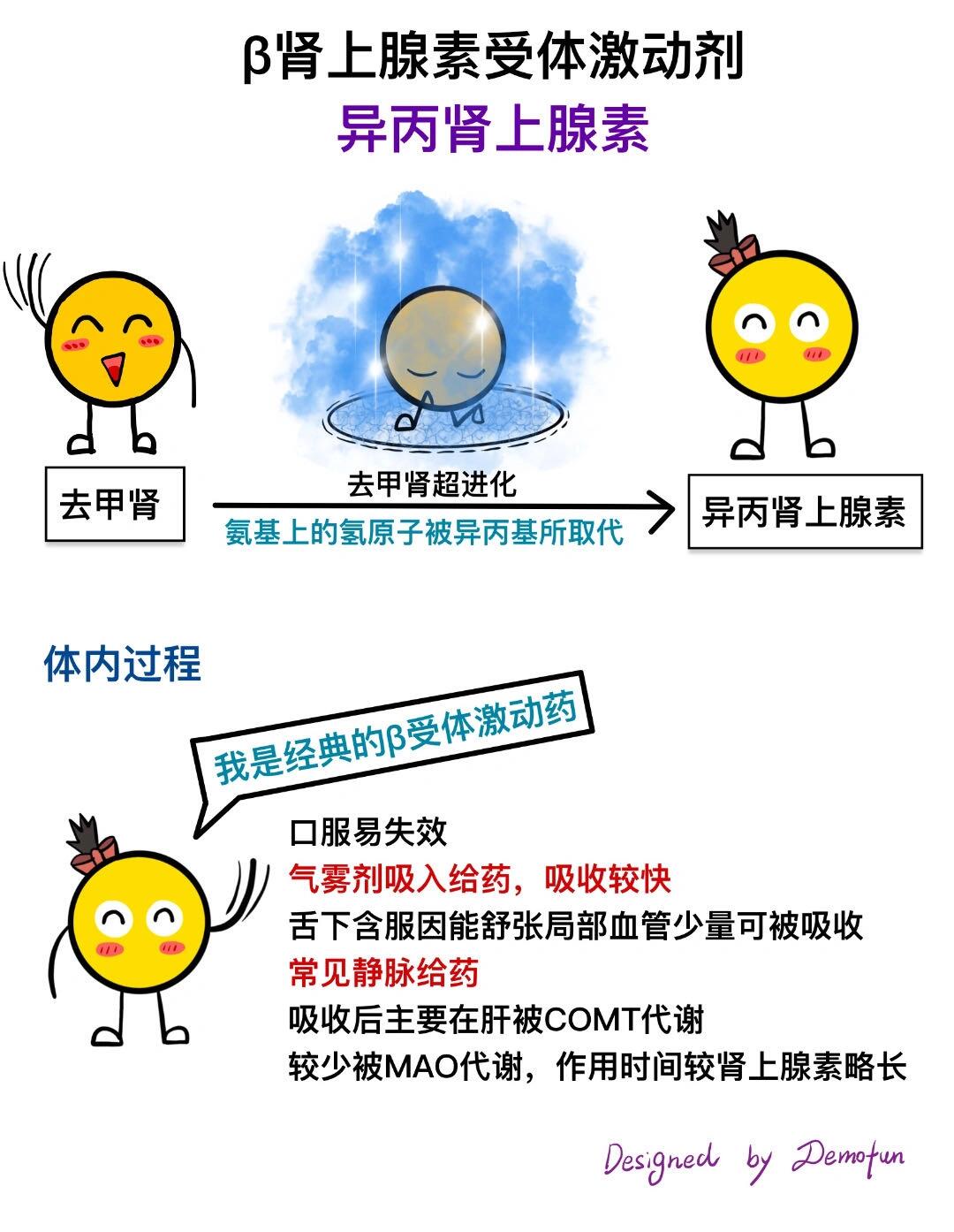 学习笔记|药理学|异丙肾的药理作用