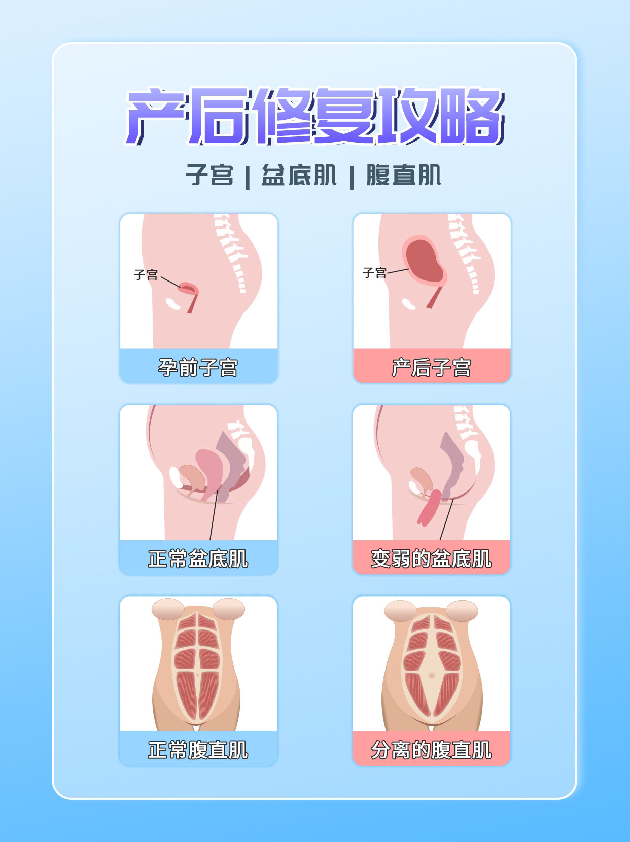 正常子宫大小是多少图片