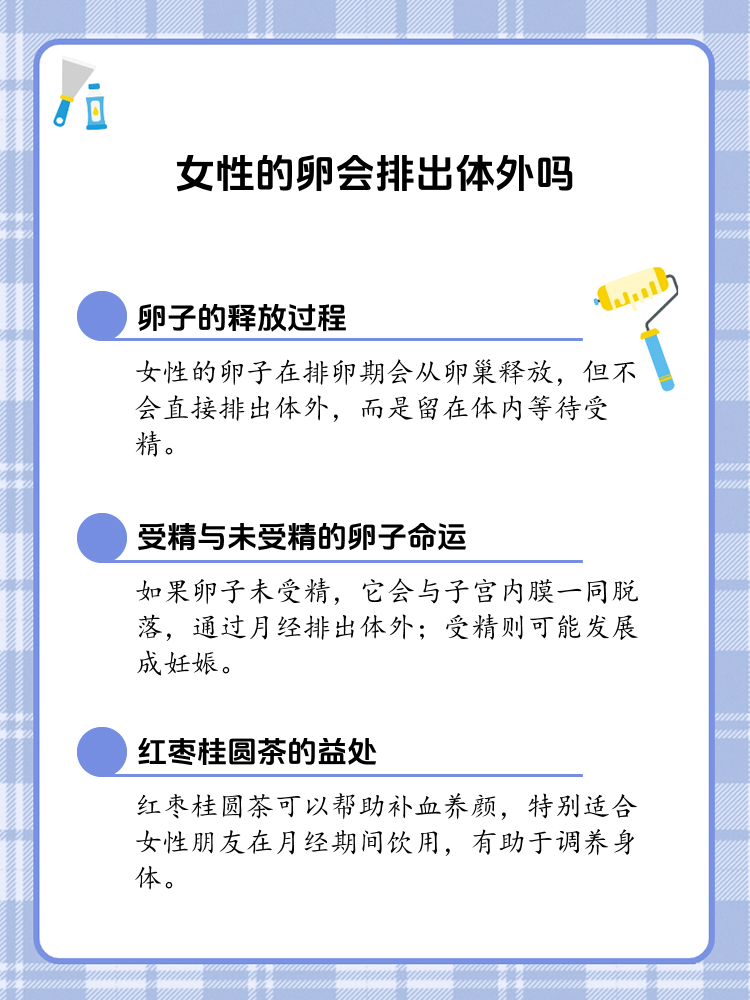 女性的卵子排出体外的真相