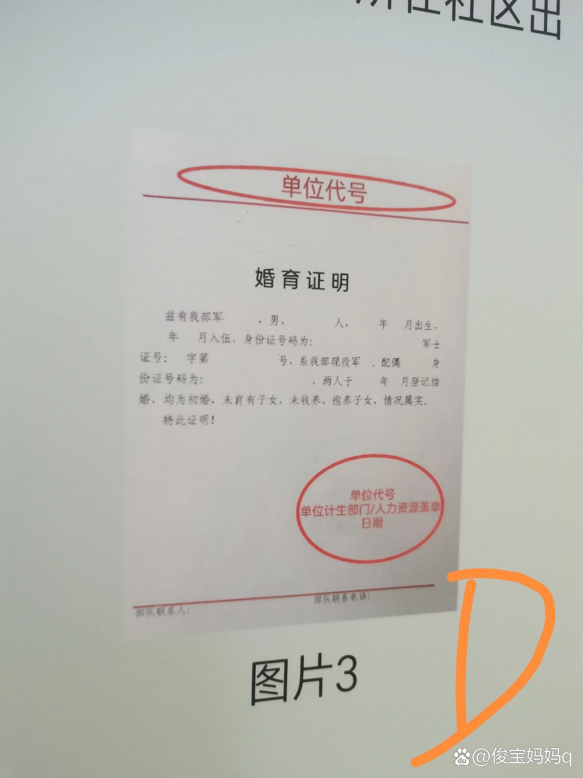 关于军属的军免试管之路(上)