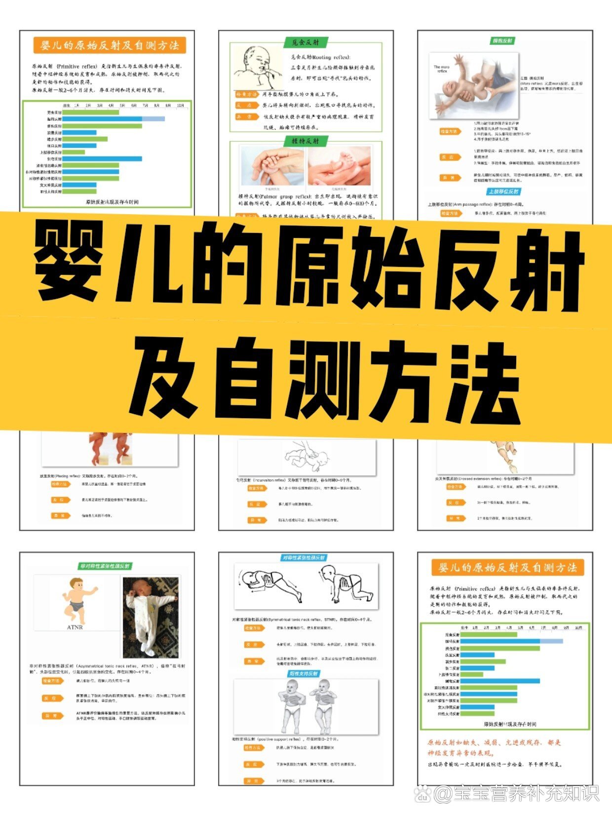 发育性反射图片