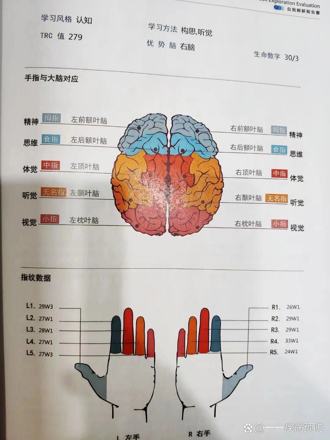 手指与大脑08的关系,神奇的手指