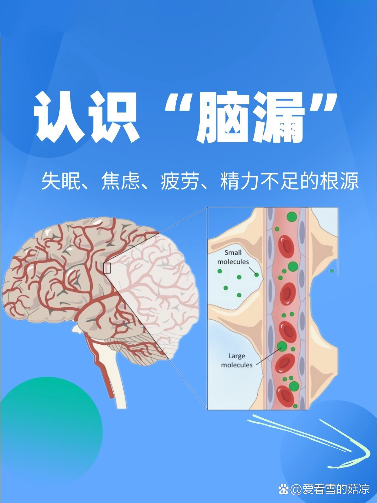 儿童血脑屏障图片