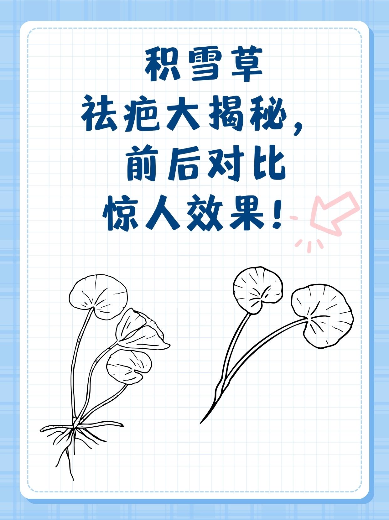 积雪草祛疤大揭秘,前后对比惊人效果!
