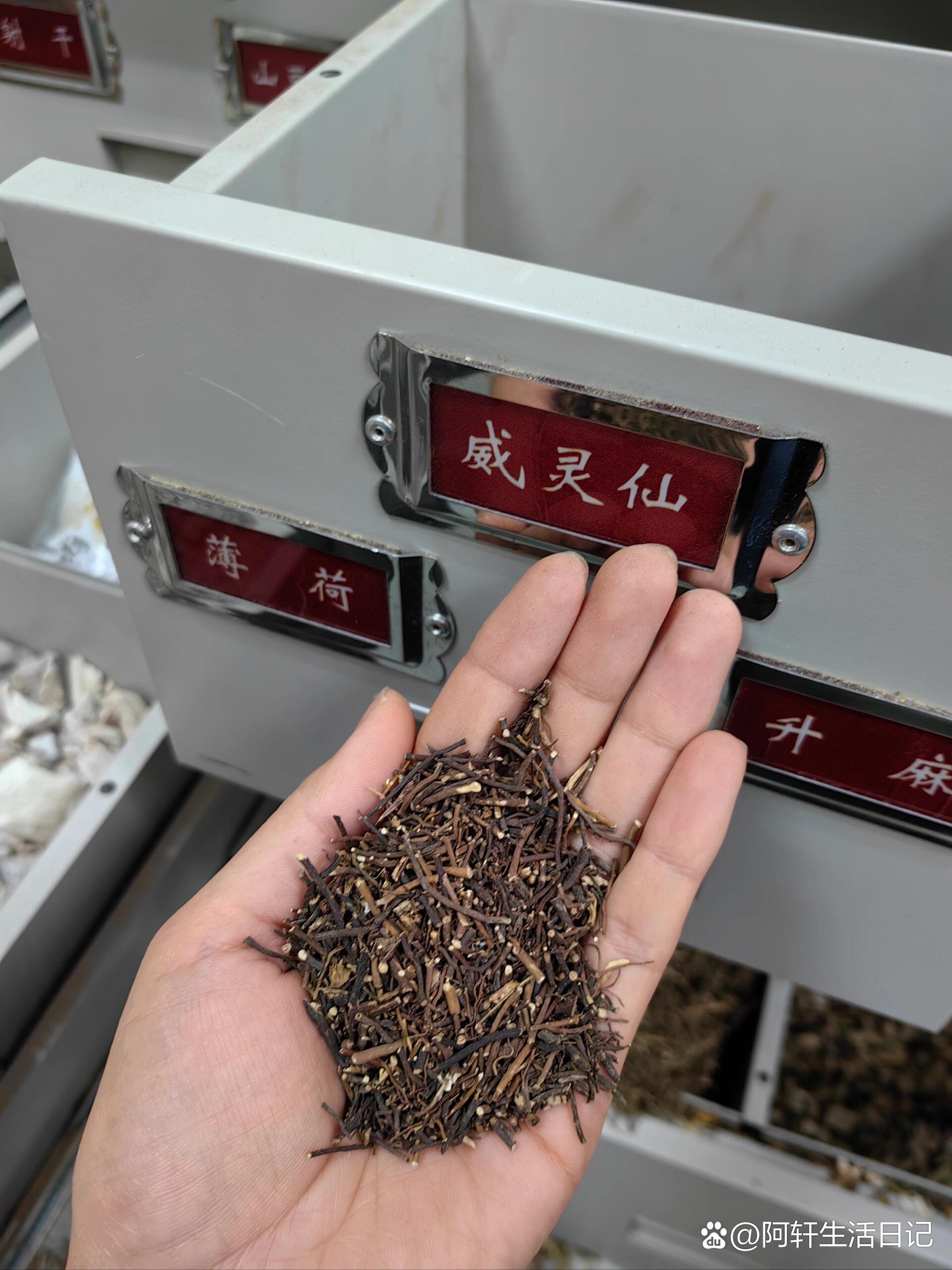 每天一味中药—威灵仙