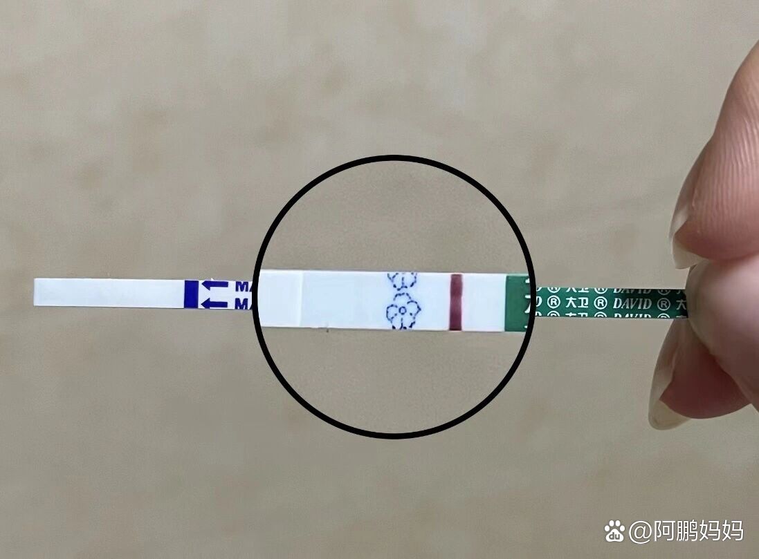 尿试纸阳性的图片图片