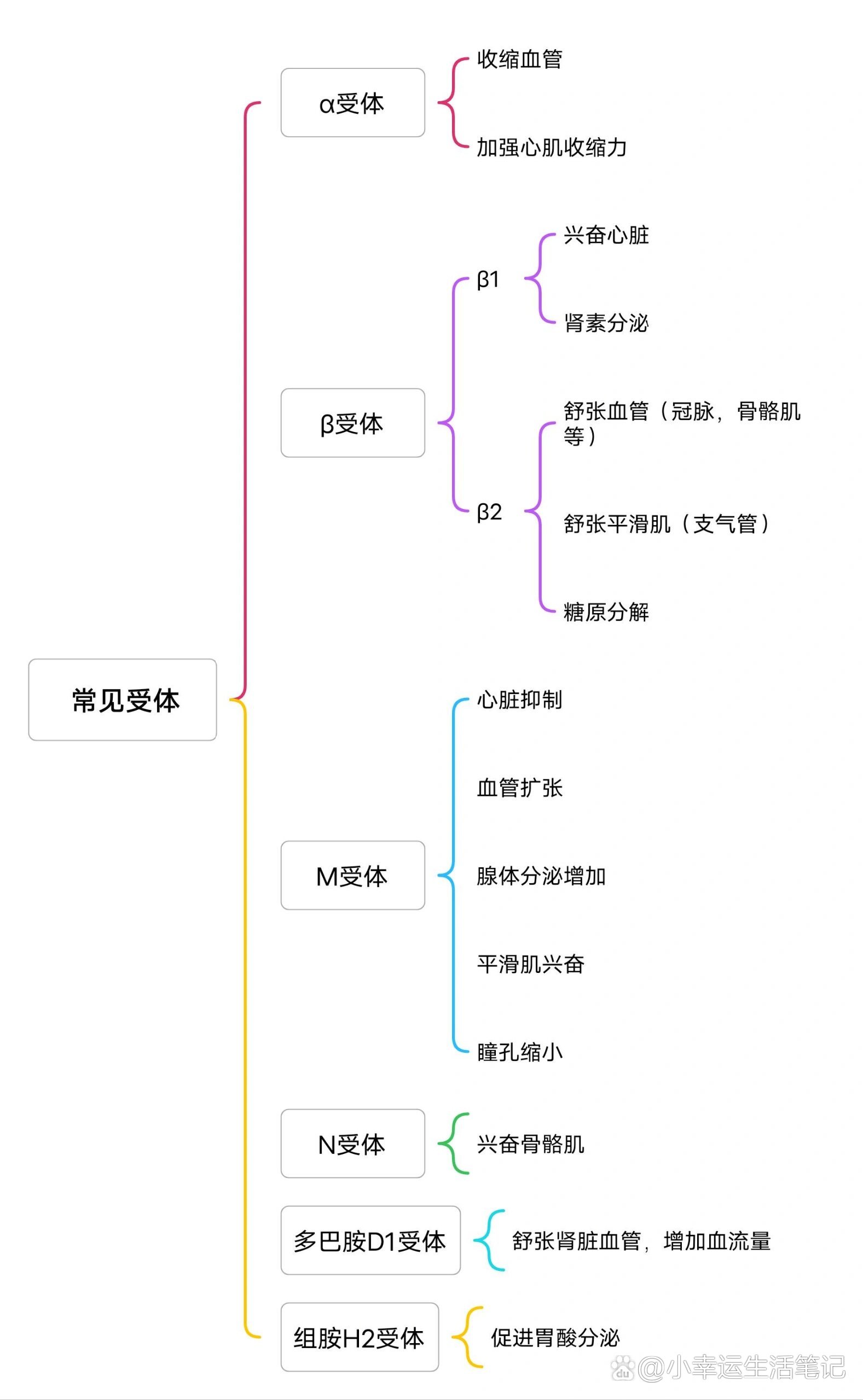 受体示意图图片