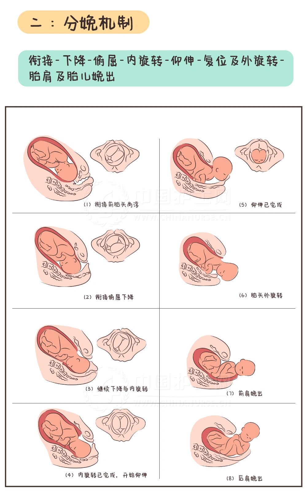 胎头颅骨最低点接近或达到坐骨棘水平