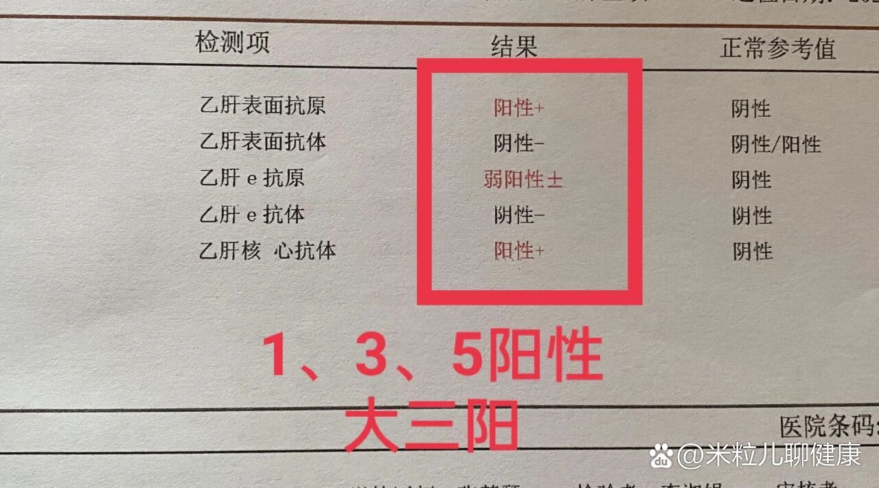 大三阳指标是哪三项图片