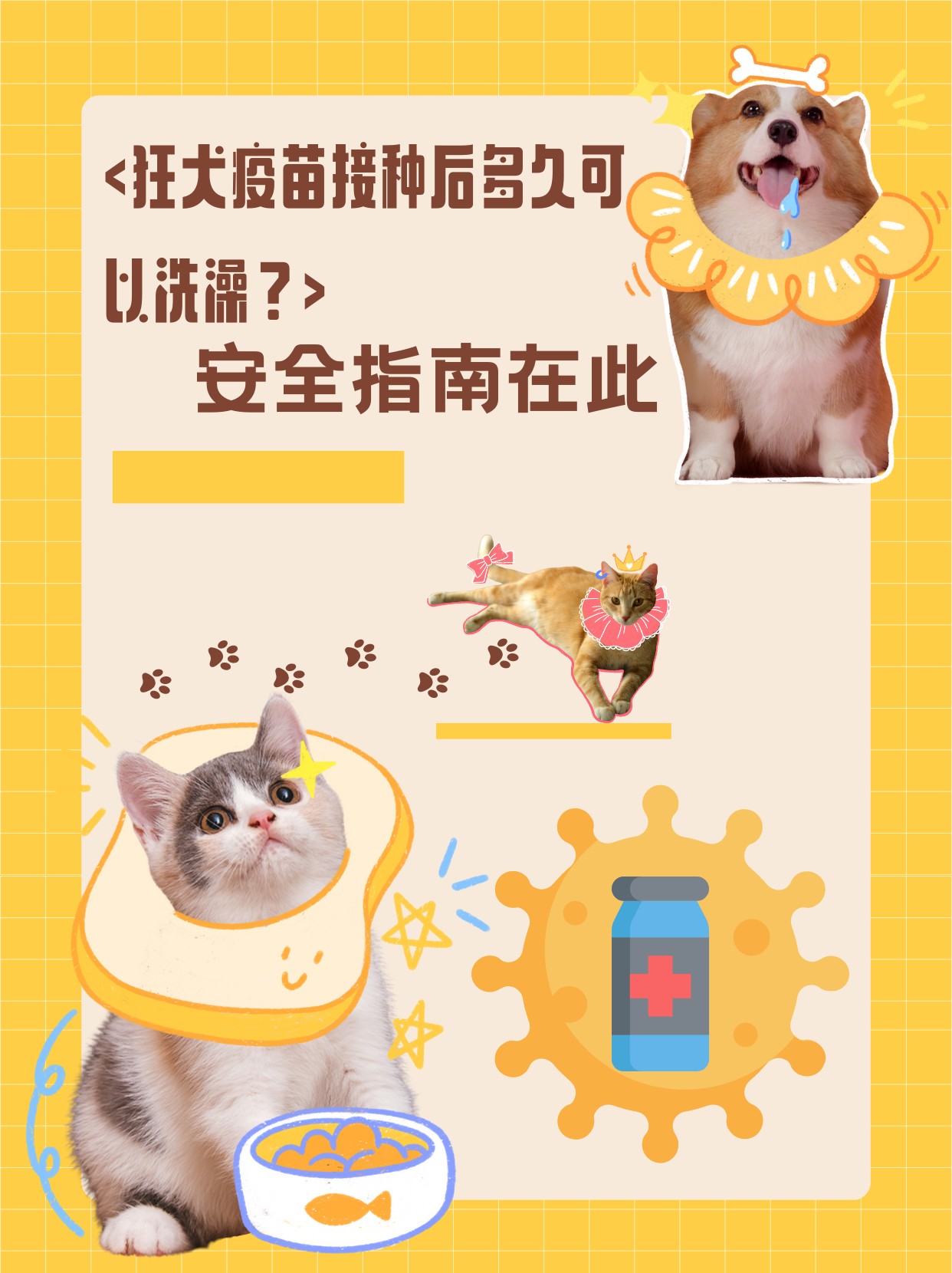 注射完狂犬疫苗为什么不能洗澡百科在线
