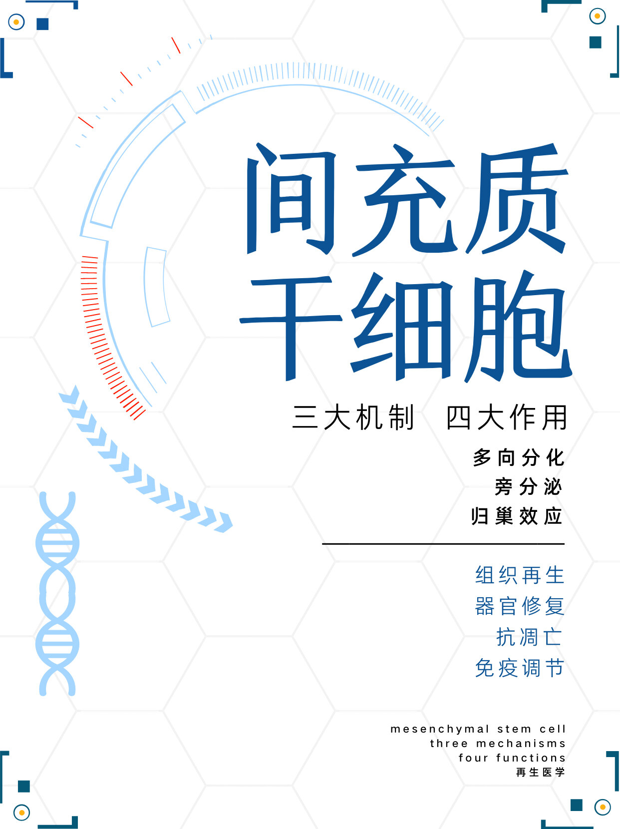 再生医学|间充质干细胞的三大机制四大作用