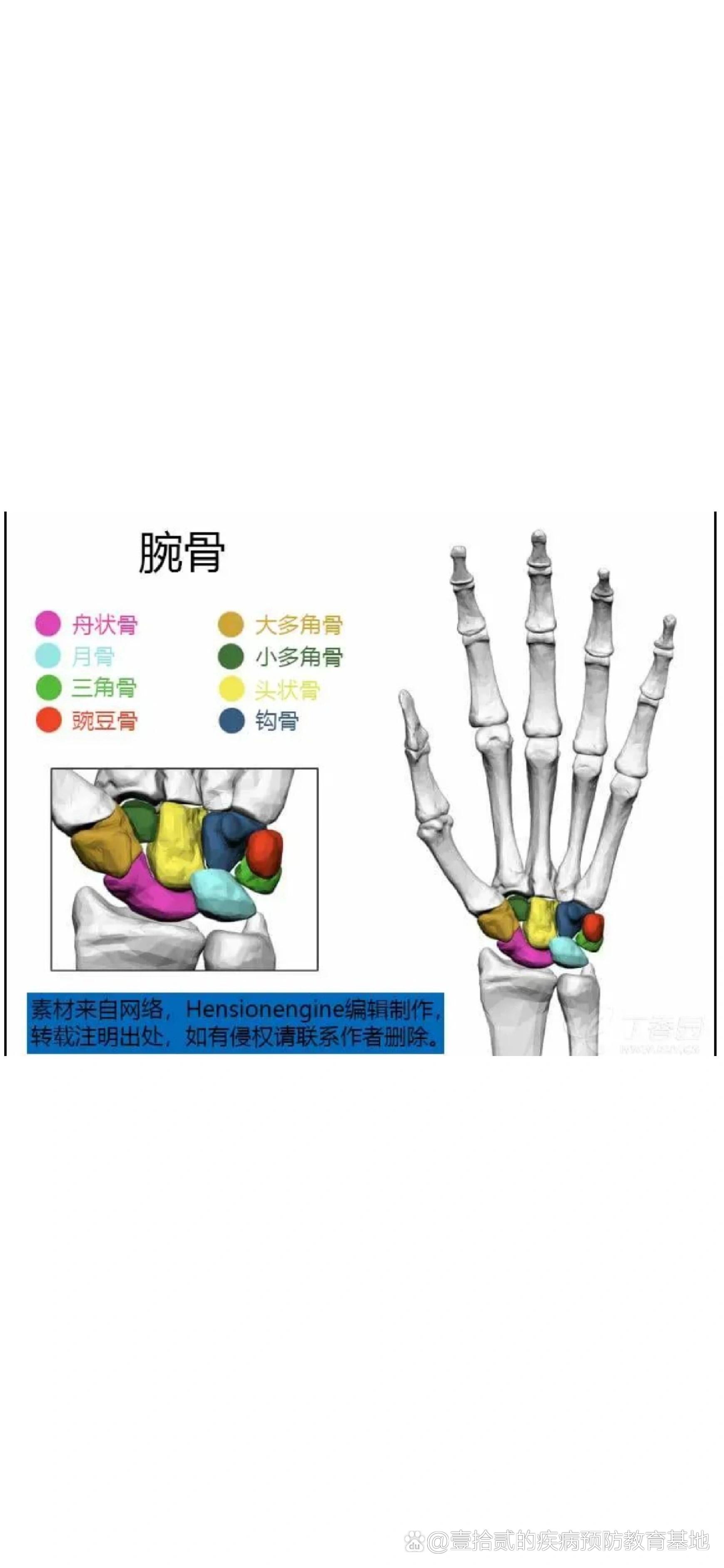 左手手腕x线光片看骨化中心