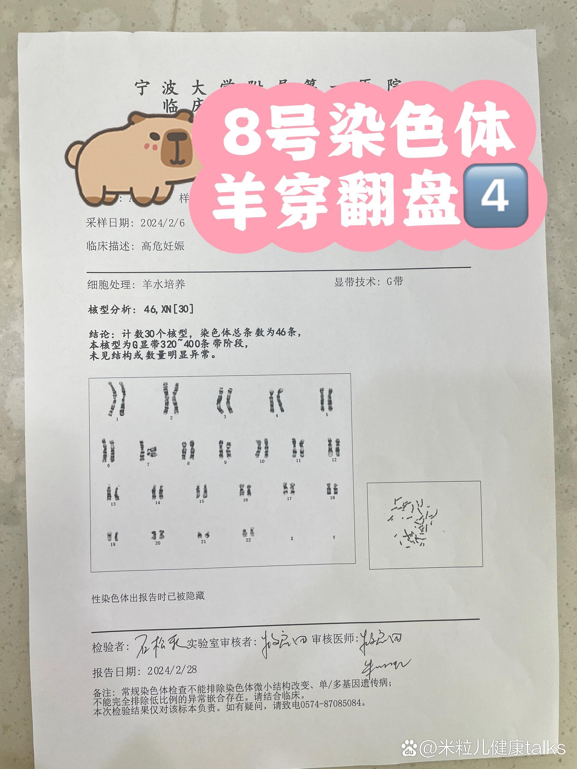 无创8号染色体有问题00羊穿翻盘41566
